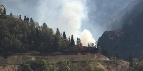 Artvin’in Murgul İlçesinde Yangın