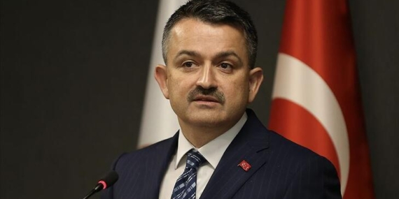 Bakan Pakdemirli, Hatay yangını ile ilgili konuştu 11 Bakan Pakdemirli, Hatay yangını ile ilgili konuştu