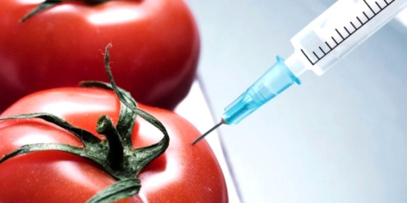 Gıda Haberleri Artık Sansürlenecek!