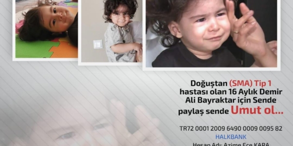 CHP İl Başkanlığı Demir Ali için harekete geçti