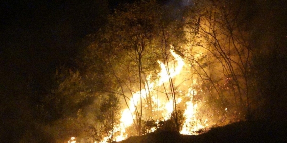 Akyazı’da yanan yere inşaat mı yapılacak?