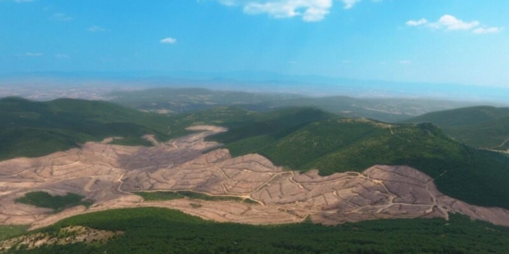 Tema Vakfı Madde 6’ya Karşı Çıkıyor