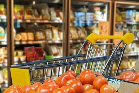 ekonomik güven endeksi