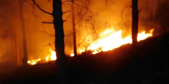 İskenderun’da Orman Yangını