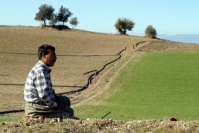 325F9F27-F806-4319-95B4-1F51735E4072