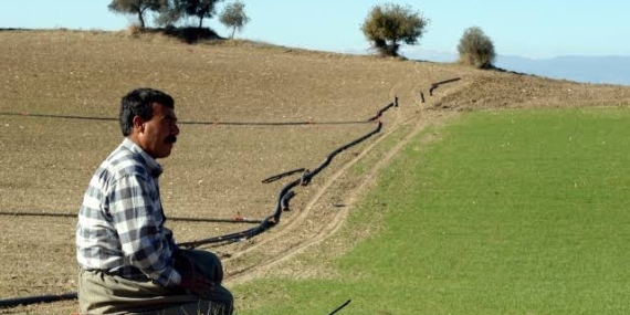 TMMOB Ziraat Mühendisleri Odası: 2021 tarımda hüsran yılı olacak