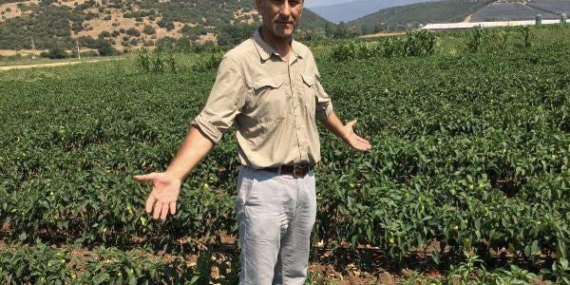 Orhan Sarıbal: Ülkeyi yönetemeyen AKP iktidarı tarımı da bitirdi