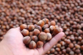 9665DB2A-2626-4B12-954B-63C05B92D4A0