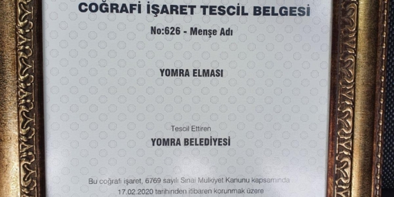 ”Yomra elması” tescillendi