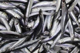 2888AE58-3DDA-4A5A-A736-B23ACA585129