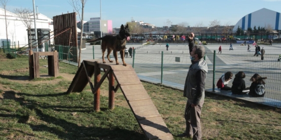 KÜÇÜKÇEKMECE’DE KÖPEKLERE ÖZEL PATİ PARK