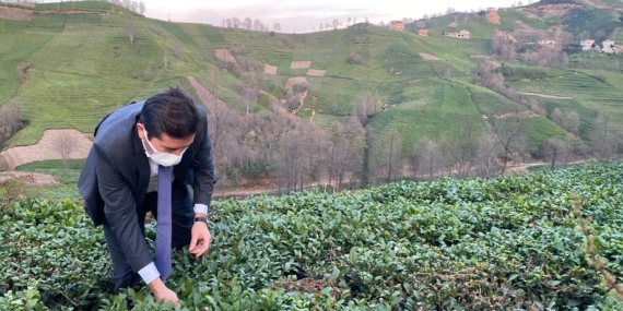 CHP’li Kaya’dan Tarım Bakanına Soru Önergesi