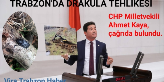 Trabzon’da ”Drakula” Tehlikesi !