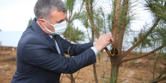 Çöplüğü Ormana Dönüştürdü