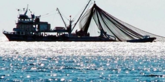 Balık Avı Sezonu Sona Erdi. Peki Sezon Nasıl Geçti?