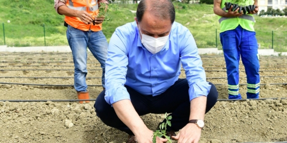 Yaşam Bahçesine Fideler Dikildi