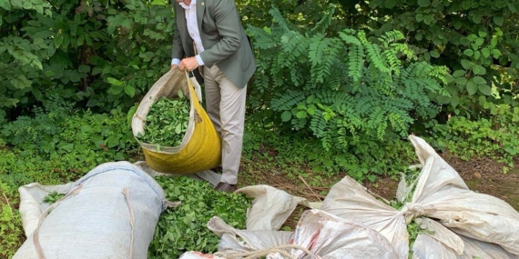 CHP’li Ahmet Kaya: Çay Üreticilerimiz Özel Sektörün İnsafına Bırakıldı