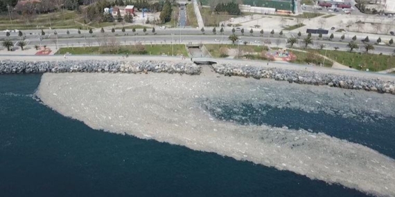 ”Marmara Denizi 1989’da öldü; gördüğümüz, bir cesedin çürümesidir”