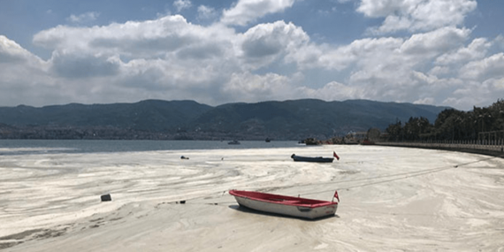 ”Müsilaj eylem planlarına baktığınızda buram buram ihale kokuları geliyor”