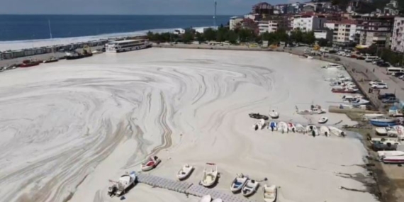 İstanbul’da müsilaj artıyor!