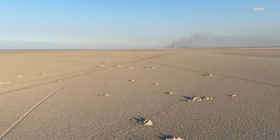 Mansur Yavaş’tan Ölen Flamingolar İçin Mesaj