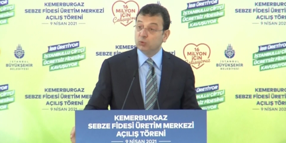 İBB, İlk Buğday Hasadını Yaptı