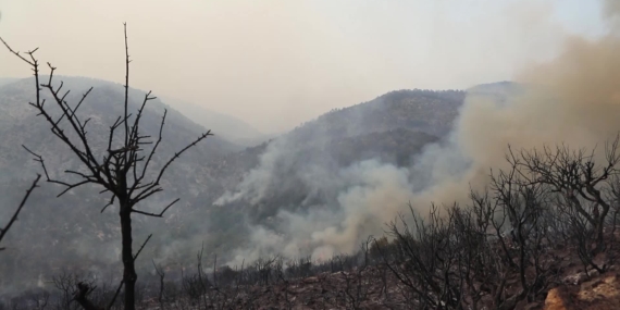 Mersin’in Aydıncık İlçesinde 3 Mahalle Boşaltıldı, 70 Ev Zarar Gördü