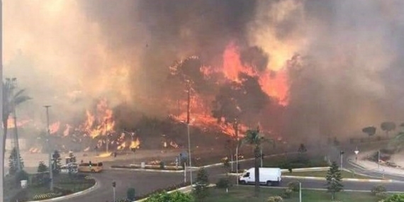 ”Hızlı Ağaçlandırma Yerine Planlı Düşünmek Gerek”