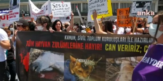 Hayvanseverlerden Cumhurbaşkanı Erdoğan’a Veto Çağrısı
