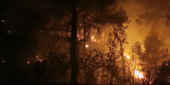 Milas’tan Bodruma Sıçrayan Yangın Hala Devam Ediyor: 4 Ev Yandı