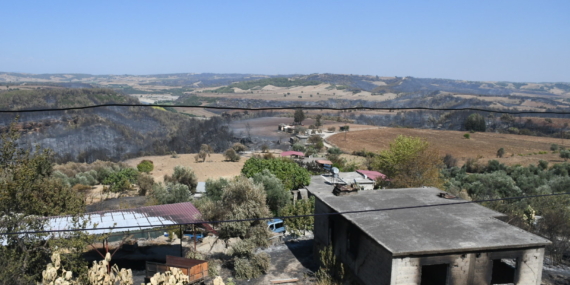 Adana’daki Orman Yangınları Kontrol Altına Alındı