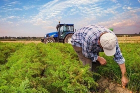 ciftciler-sendikasi-1