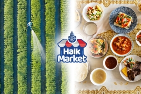 HALK-MARKET