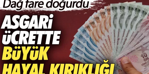 "DAĞ FARE DOĞURDU" 11 “DAĞ FARE DOĞURDU”