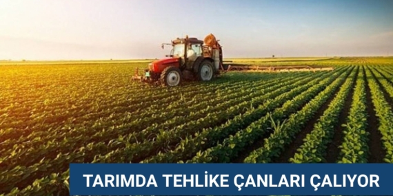TARIMDA TEHLİKE ÇANLARI ÇALIYOR